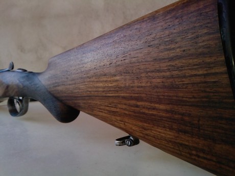 ...la que yo tengo, y es que dentro de unos años me he propuesto comprar un rifle como el que tengo, un 60
