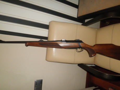 Vendo Sauer 202, modelo Classic, calibre 9.3x62 y cañón adicional calibre 7x64. Bases Y dos juegos de 20