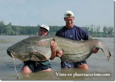  Ya que diversos foreros me han solicitado reabrir aquel viejo y exitoso hilo "Vernos las caras", 120