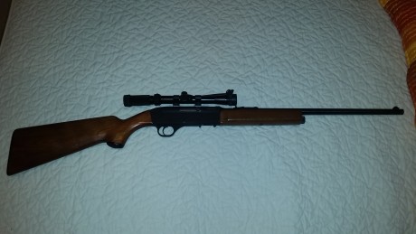 Rifle carabina del 22 lr. Semiautomática.  Gevarm E1. 
Fabricada en Francia por Gevelot. Cuenta con cargador 01