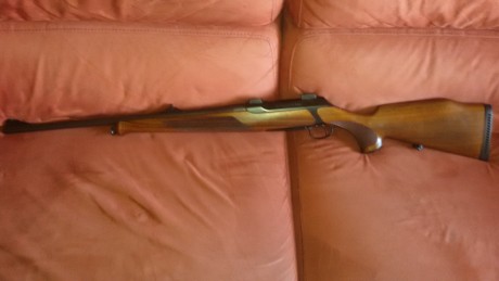 Vendo Sauer 202, modelo Classic, calibre 9.3x62 y cañón adicional calibre 7x64. Bases Y dos juegos de 91
