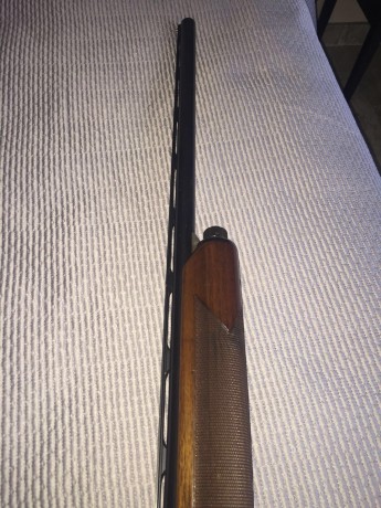 Vendo Beretta 301 o 2 no sé exactamente cuál es,tiene dos estrellas fijas,la compre el año pasado en armería 00