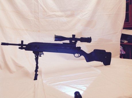 Vendo carabina del 22 lr. GSG-5 con carril para monturas weaver, dos puntos rojos uno de ellos x1, un 10