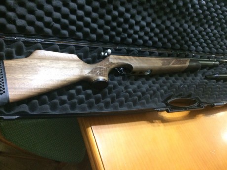 Se vende esta preciosa carabina del 4.5 air arms nogal
totalmente a estreno,moderador  y air striper
maleta 01
