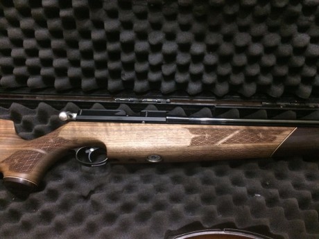 Se vende esta preciosa carabina del 4.5 air arms nogal
totalmente a estreno,moderador  y air striper
maleta 12