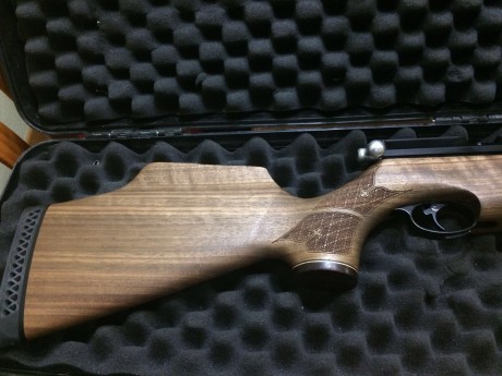 Se vende esta preciosa carabina del 4.5 air arms nogal
totalmente a estreno,moderador  y air striper
maleta 11