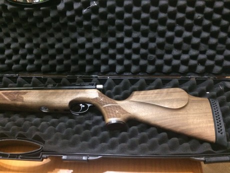 Se vende esta preciosa carabina del 4.5 air arms nogal
totalmente a estreno,moderador  y air striper
maleta 22