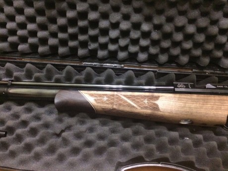 Se vende esta preciosa carabina del 4.5 air arms nogal
totalmente a estreno,moderador  y air striper
maleta 21