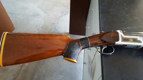 Hola compañeros.
Hace algún tiempo llevo curioseando escopetas deportivas antiguas, y entre las de fabricación 81
