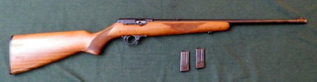 Hola, vendo una carabina del calibre 22 marca Brno en buen estado, pega muy bien, la carabina está en 02