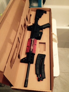 Hola Companeros,
pongo a la venta mi Smith&Wesson MP15/22 Semiautomatica 
Cal.22LR

La arma está en 00