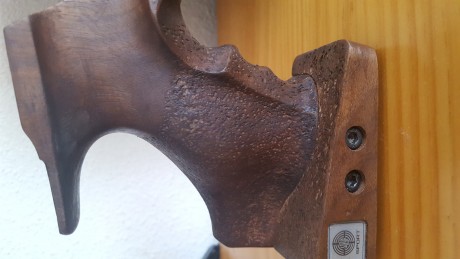 cacha steyr lp 10 00