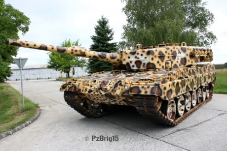 Buenos dias. Me acaban de mandar esta foto de un Guepard alemán. Según me ha dicho el susodicho, la imagen 31