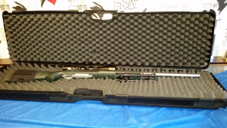 vuelvo a poner a la venta este equipo de fclass compuesto por:
remington 700mil spec 308w.
visor bushnell 150