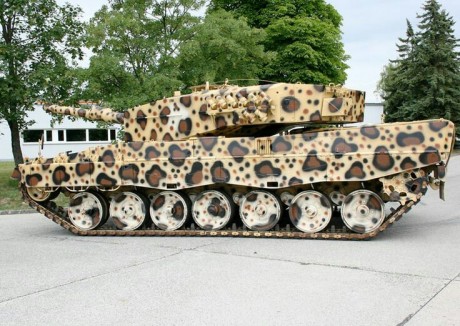 Buenos dias. Me acaban de mandar esta foto de un Guepard alemán. Según me ha dicho el susodicho, la imagen 50