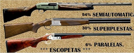 Hola amigos del foro, mi intención es la de crear una encuesta sobre el tipo de armas que utilizamos cada 160