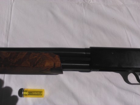 Escopeta de corredera,en muy buen estado,cañon de 50 cm ,capacidad para 8 cartuchos,calibre 12,
350 euros 22