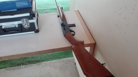 Semiautomática del .22 lr de cañón desmontable. En perfecto estado salvo algún pequeño roce en maderas 01