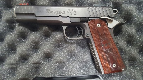 Vendo STI TROJAN 5"

Calibre 45 ACP. Seguro ambidiextro, punto de mira fibra óptica, 1 cargador.

Pecio 01