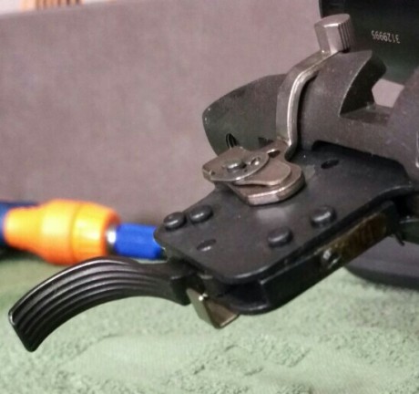 Recientemente he comprado al compañero Click su R700 Police y el disparador no está a la altura del rifle, 91