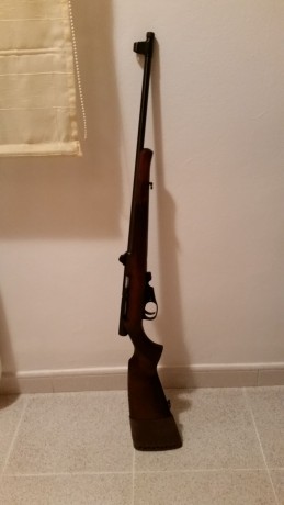 Vendo carabina marca Toz semi-automatica de fabricación rusa con dos cargadores uno de 5 y otro de 10 02