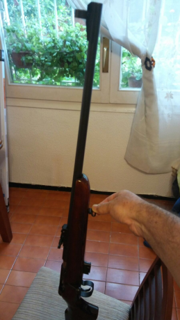 Vendo Toz 17-01 calibre 22 con cargador de 5 balas.
Tiene algún arañazo pero va muy fino.
Preferiblemente 10