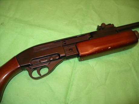 En venta carabina Gamo G1200 de CO2, sin restaurar, conmarcas de uso pero en estado de funcionamiento.

Precio 01
