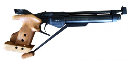Hola, buenas noches.

Estoy interesado en adquirir una pistola para practicar precisión. Me interesa un 10