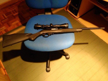 Hola. Vendo carabina semiautomática Marlin 22Lr., impecable, ni 100 disparos, cargador de 10 disparos. 02