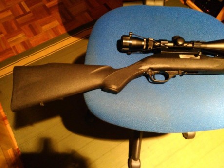 Hola. Vendo carabina semiautomática Marlin 22Lr., impecable, ni 100 disparos, cargador de 10 disparos. 01