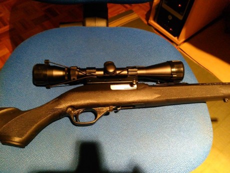 Hola. Vendo carabina semiautomática Marlin 22Lr., impecable, ni 100 disparos, cargador de 10 disparos. 00