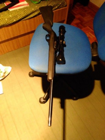 Hola. Vendo carabina semiautomática Marlin 22Lr., impecable, ni 100 disparos, cargador de 10 disparos. 10