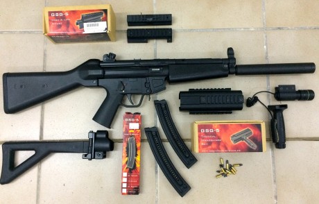 Bonita y divertida Carabina Lr 22 de GSG (German Spors Guns), Por 550 euros, Fabricada en Alemania e inspirada 00