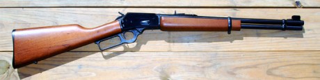 Hola compro palanquero del 357Mg a ser posible Marlin ( a ser posible bien de precio )
Saludos 60