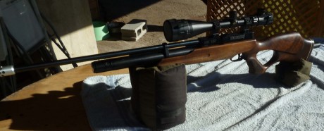 Hola!

Vendo carabina HW100 de 5,5 Con los siguientes complementos:

Difusor / Silenciador (La deja muda 12