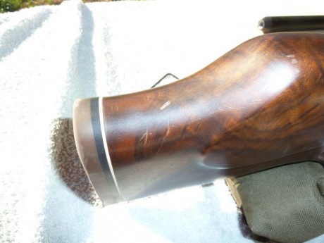 Hola!

Vendo carabina HW100 de 5,5 Con los siguientes complementos:

Difusor / Silenciador (La deja muda 22