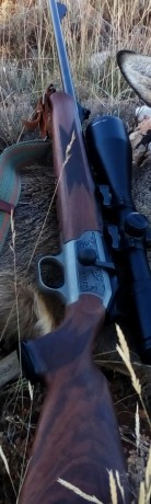 Vendo cañón Blaser R93 en calibre 9.3x62,tiene elementos de puntería,el baleo es perfecto.
Incluye monturas 00