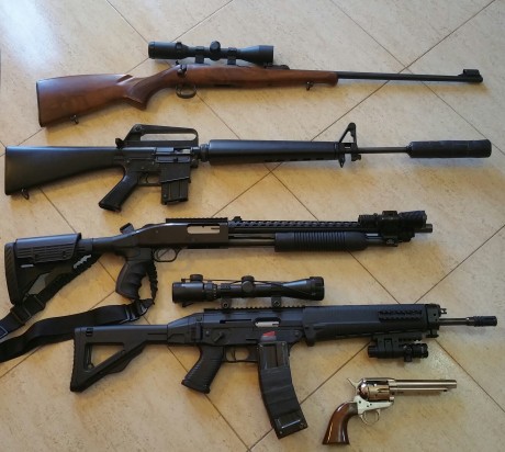 Vendo mi sig 522 comprada el 10-2013 en arminse lleva un año sin uso ..tendra unos 1500 tiros maximo.(de 50
