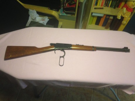 Vendo carabina ERMA calibre .22LR tipo WINCHESTER. Capacidad de cargador 16 cartuchos +1. Muy bien cuidada. 00