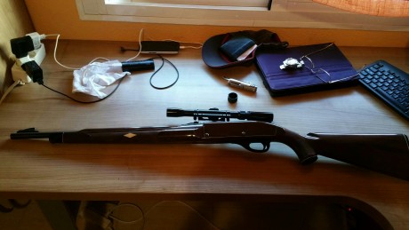 Vendo carabina Remington del calibre 22 L.R., con capacidad para 14 cartuchos que se introducen por la 82