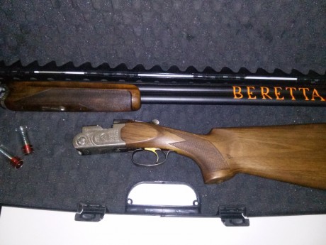 Vendo beretta 686 silver pigeon de plato **/* chokes fijos y 76 de cañón.
El estado de la escopeta es 00