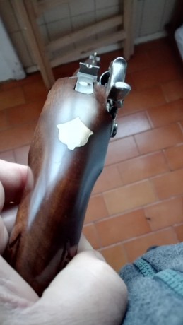 Vendo pistola duelo Ardesa William Parker Match percusión regulador disparador al pelo.
Pistola en muy 02