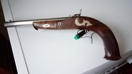 Vendo pistola duelo Ardesa William Parker Match percusión regulador disparador al pelo.
Pistola en muy 01