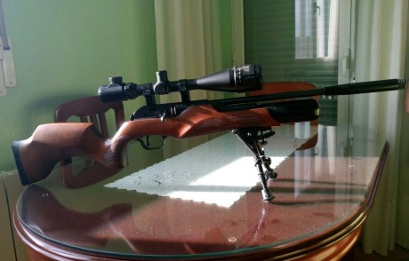 Buenas, vendo una carabina PCP Walther Rotex R8 por no uso. Incluye un visor Bushnell 6-24X50,bípode NcSTAR, 01