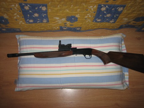 Hola.  Vendo esta carabina,  impecable, carga 11+1 disparos, las balas se introducen por un orificio que 02