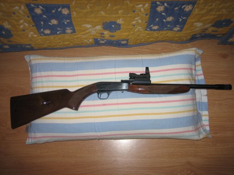 Hola.  Vendo esta carabina,  impecable, carga 11+1 disparos, las balas se introducen por un orificio que 01