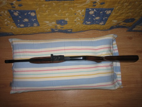 Hola.  Vendo esta carabina,  impecable, carga 11+1 disparos, las balas se introducen por un orificio que 00