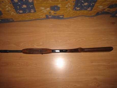 Hola.  Vendo esta carabina,  impecable, carga 11+1 disparos, las balas se introducen por un orificio que 12