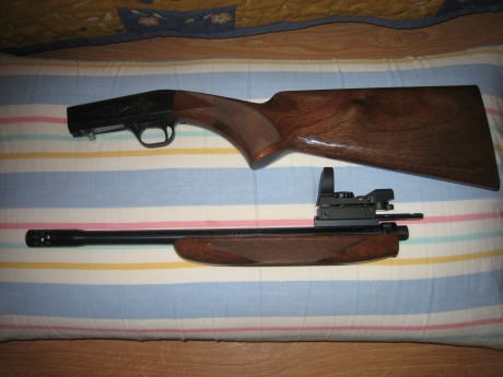 Hola.  Vendo esta carabina,  impecable, carga 11+1 disparos, las balas se introducen por un orificio que 11