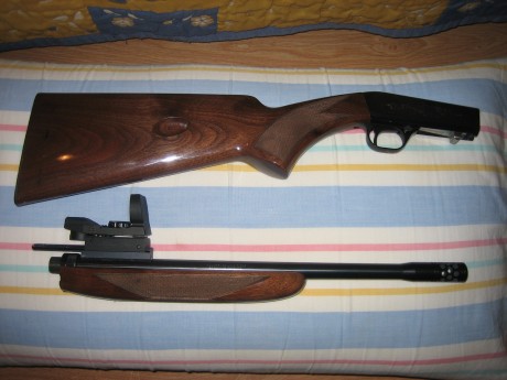 Hola.  Vendo esta carabina,  impecable, carga 11+1 disparos, las balas se introducen por un orificio que 10